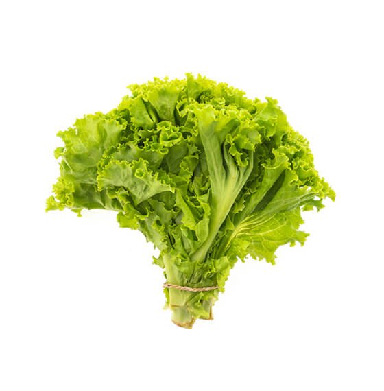 palacesweets.com